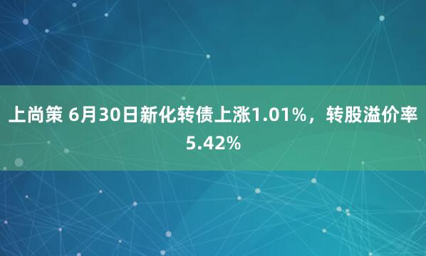 上尚策 6月30日新化转债上涨1.01%，转股溢价率5.42%