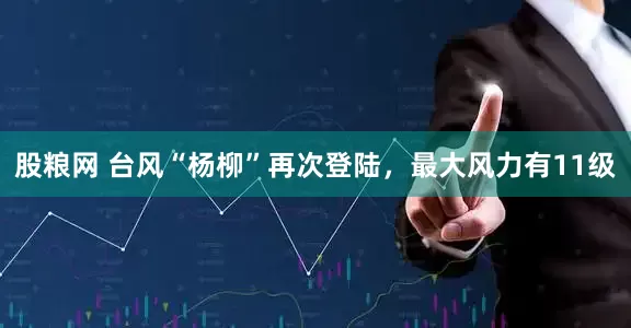 股粮网 台风“杨柳”再次登陆，最大风力有11级