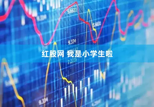 红股网 我是小学生啦